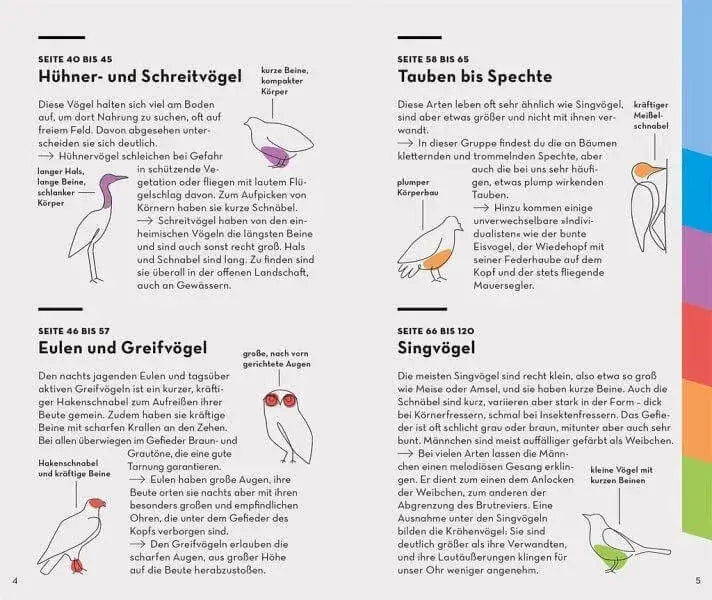 basic-vogel-kunstundspiel-2 - kunstundspiel 