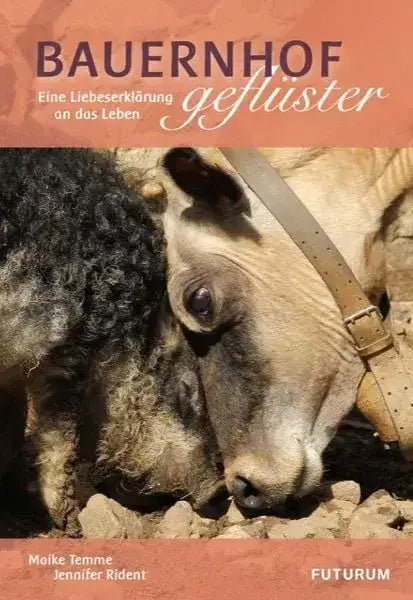 bauernhofgefluster-kunstundspiel-1 - kunstundspiel 