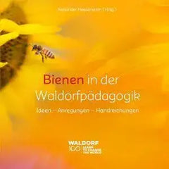 bienen-in-der-waldorfpadagogik-kunstundspiel-1 - kunstundspiel 