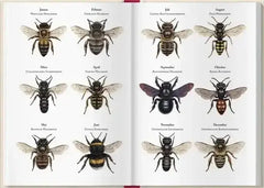 bienenkalender-2027-kunstundspiel-3 - kunstundspiel 