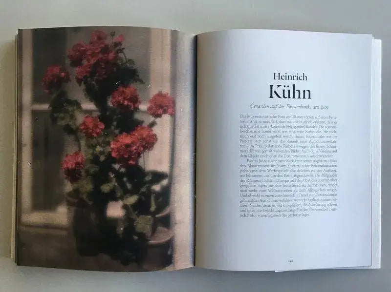 blumen-in-der-kunst-kunstundspiel-10 - kunstundspiel 