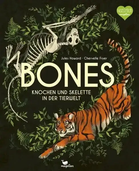 bones-knochen-und-skelette-in-der-tierwelt-kunstundspiel-1 - kunstundspiel 