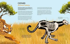 bones-knochen-und-skelette-in-der-tierwelt-kunstundspiel-2 - kunstundspiel 