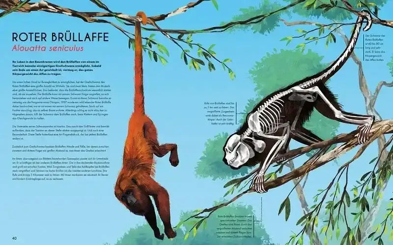 bones-knochen-und-skelette-in-der-tierwelt-kunstundspiel-3 - kunstundspiel 