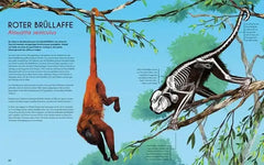 bones-knochen-und-skelette-in-der-tierwelt-kunstundspiel-3 - kunstundspiel 