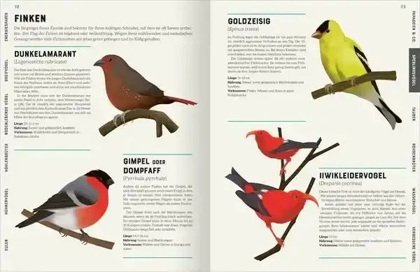das-grosse-lexikon-der-vogel-kunstundspiel-2 - kunstundspiel 