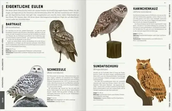 das-grosse-lexikon-der-vogel-kunstundspiel-3 - kunstundspiel 