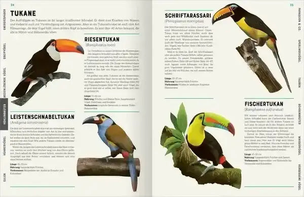 das-grosse-lexikon-der-vogel-kunstundspiel-4 - kunstundspiel 