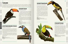 das-grosse-lexikon-der-vogel-kunstundspiel-4 - kunstundspiel 