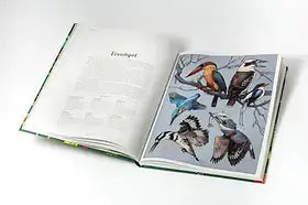 das-museum-der-vogel-eintritt-frei-kunstundspiel-3 - kunstundspiel 