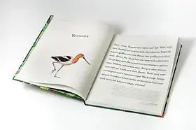das-museum-der-vogel-eintritt-frei-kunstundspiel-6_9514829d-ad91-432e-9da0-70c30fe8cef7 - kunstundspiel 