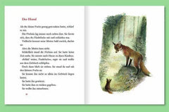 der-findefuchs-gebundene-ausgabe-kunstundspiel-3 - kunstundspiel 