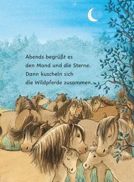 die-geklaute-wurst-ponyherz-und-herr-franz-bd-1-kunstundspiel-3 - kunstundspiel 