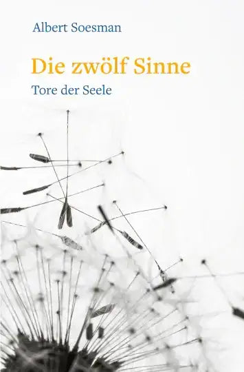 die-zwolf-sinne-tore-der-seele-kunstundspiel-1 - kunstundspiel 