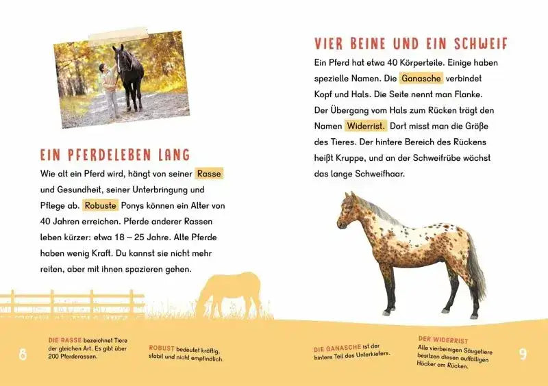 duden-dein-lesestart-pferde-und-ponys-kunstundspiel-2 - kunstundspiel 