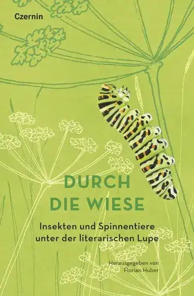 durch-die-wiese-kunstundspiel-1 - kunstundspiel 