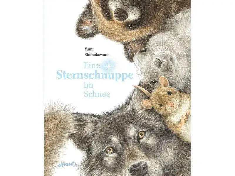 eine-sternschnuppe-im-schnee-kunstundspiel-1 - kunstundspiel 