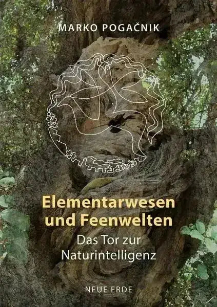 elementarwesen-und-feenwelten-taschenbuchausgabe-kunstundspiel-1 - kunstundspiel 