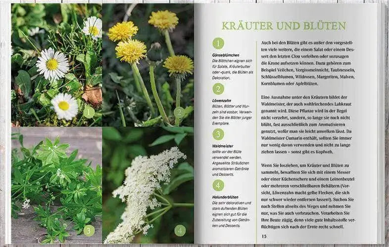 ernte-an-wegen-wiesen-und-waldern-kunstundspiel-11 - kunstundspiel 