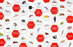 erster-sein-gefahrliche-tiere-kunstundspiel-4 - kunstundspiel 
