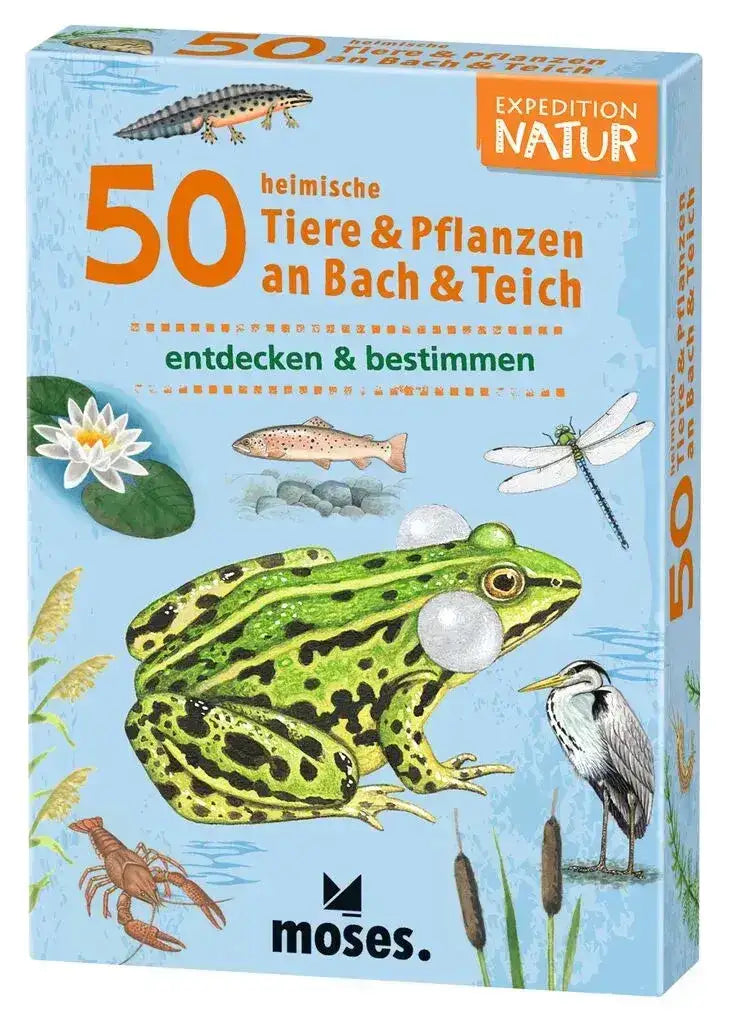 expedition-natur-50-tiere-and-pflanzen-an-bach-and-teich-entdecken-und-bestimmen-kunstundspiel-1 - kunstundspiel 