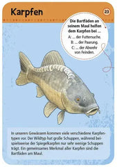 expedition-natur-50-tiere-and-pflanzen-an-bach-and-teich-entdecken-und-bestimmen-kunstundspiel-2 - kunstundspiel 