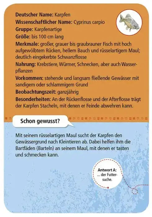 expedition-natur-50-tiere-and-pflanzen-an-bach-and-teich-entdecken-und-bestimmen-kunstundspiel-3 - kunstundspiel 