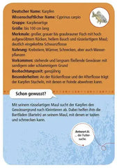 expedition-natur-50-tiere-and-pflanzen-an-bach-and-teich-entdecken-und-bestimmen-kunstundspiel-3 - kunstundspiel 