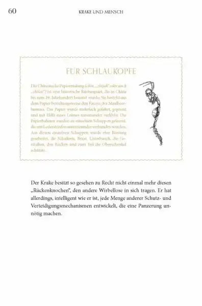 faszination-krake-wesen-einer-unbekannten-welt-kunstundspiel-3 - kunstundspiel 