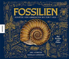 fossilien-schatze-von-ammoniten-bis-zum-t-rex-kunstundspiel-1 - kunstundspiel 