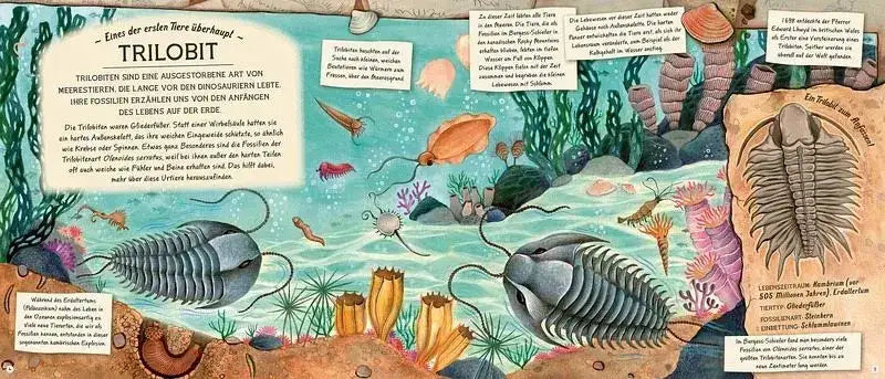 fossilien-schatze-von-ammoniten-bis-zum-t-rex-kunstundspiel-2 - kunstundspiel 