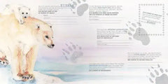 freundschaftsbuch-tiere-kennenlernen-und-schutzen-kunstundspiel-3 - kunstundspiel 