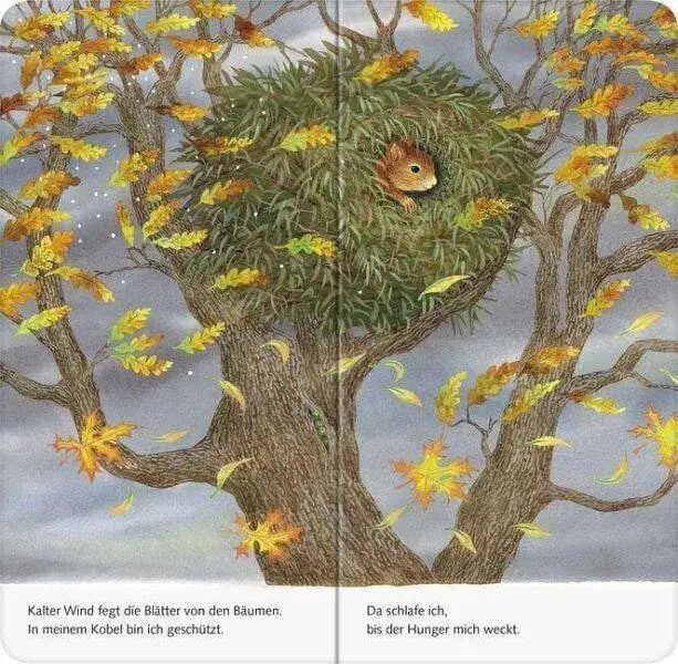 ich-bin-das-kleine-eichhornchen-kunstundspiel-2 - kunstundspiel 