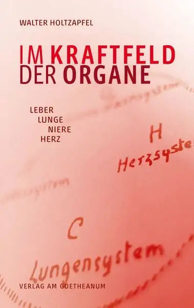 im-kraftfeld-der-organe-taschenbuch-walter-holtzapfel_307ee9be-e93a-4a5c-86d2-0833af54313f - kunstundspiel 