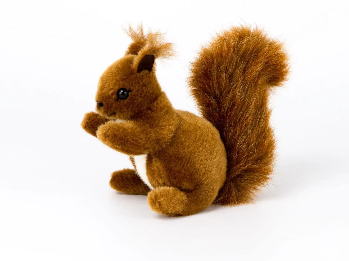 Eichhörnchen klein