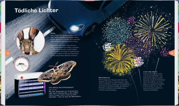 Buchseite mit Nachtpfauenauge-Schmetterling, Feuerwerk und Tierillustrationen für Kinder