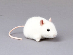 maus-pieps-weiss-kunstundspiel-1 - kunstundspiel 