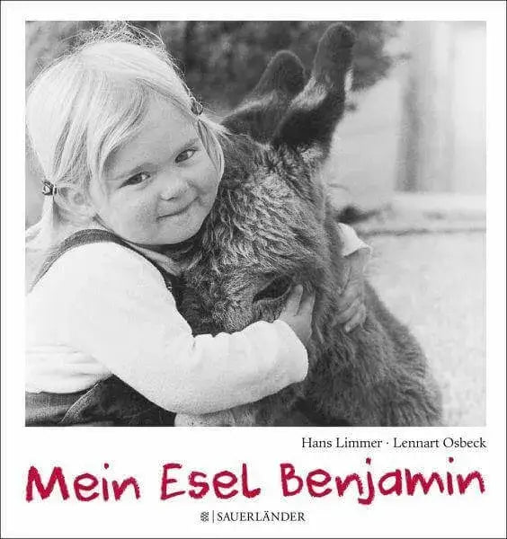 mein-esel-benjamin-kunstundspiel-1 - kunstundspiel 