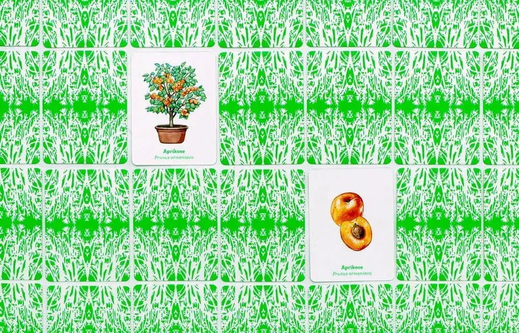 memo-obst-und-gemuse-kunstundspiel-6 - kunstundspiel 