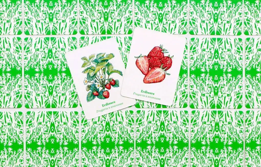 memo-obst-und-gemuse-kunstundspiel-7 - kunstundspiel 