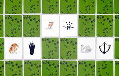 memo-tiere-in-deiner-umgebung-kunstundspiel-4 - kunstundspiel 