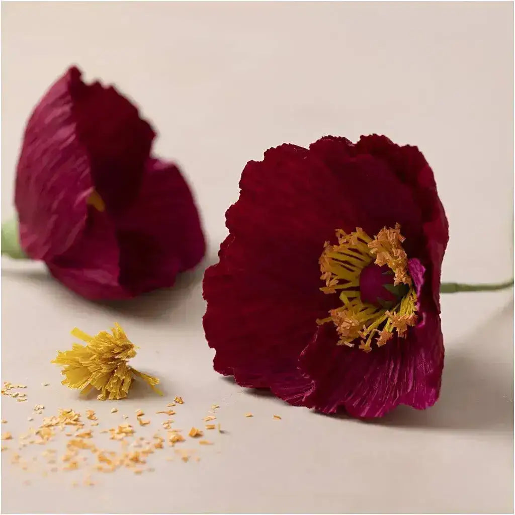 mini-kreativ-set-krepppapier-mohn-kunstundspiel-1 - kunstundspiel 