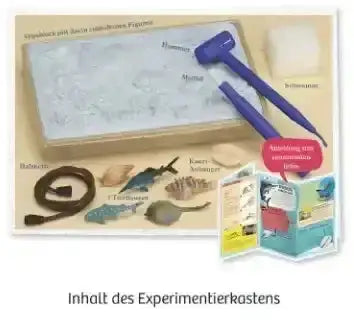 mitbring-experiment-ausgrabung-meeresabenteuer-kunstundspiel-3 - kunstundspiel 