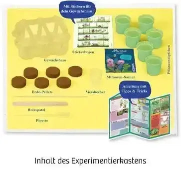 mitbring-experiment-mimosengarten-kunstundspiel-3 - kunstundspiel 