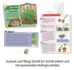mitbring-experiment-mimosengarten-kunstundspiel-4 - kunstundspiel 