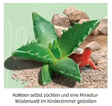 mitbring-experimente-kakteen-wuste-kunstundspiel-3 - kunstundspiel 