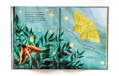 nachtwanderung-kunstundspiel-3 - kunstundspiel 
