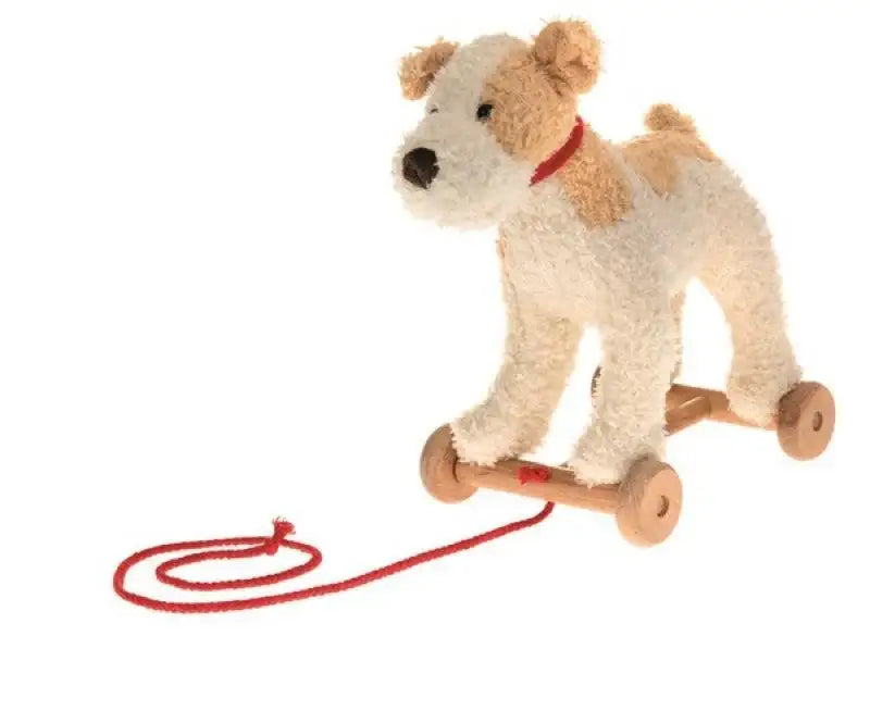 nachzieh-hund-eliot-kunstundspiel-1 - kunstundspiel 