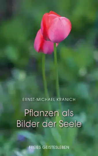pflanzen-als-bilder-der-seele-kunstundspiel-1 - kunstundspiel 