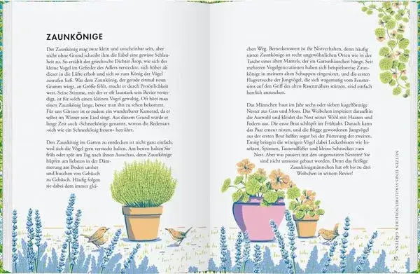 pflanzen-fur-gartenvogel-kunstundspiel-2 - kunstundspiel 